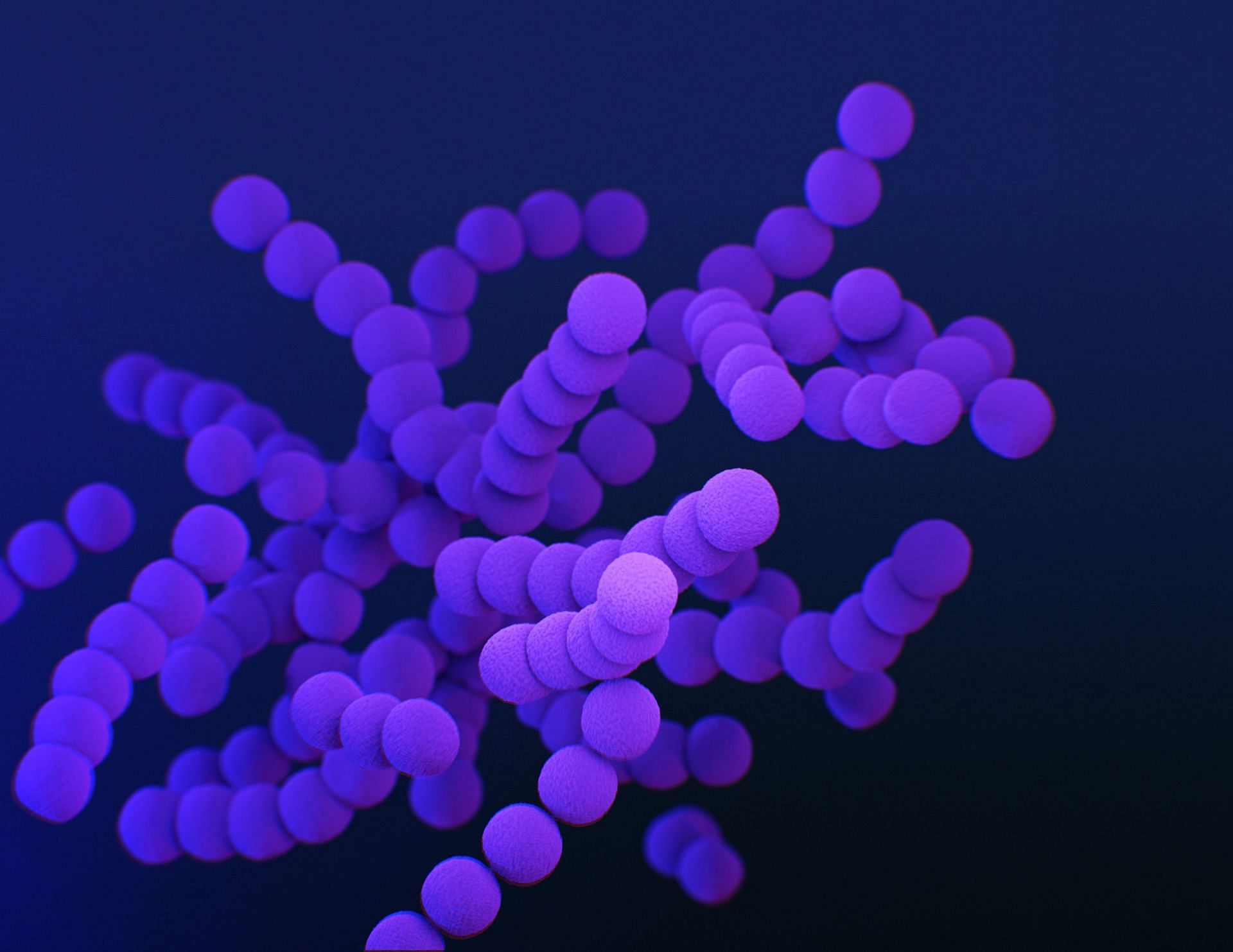 Fights off bacteria and viruses (Image via Unsplash/Cdc)